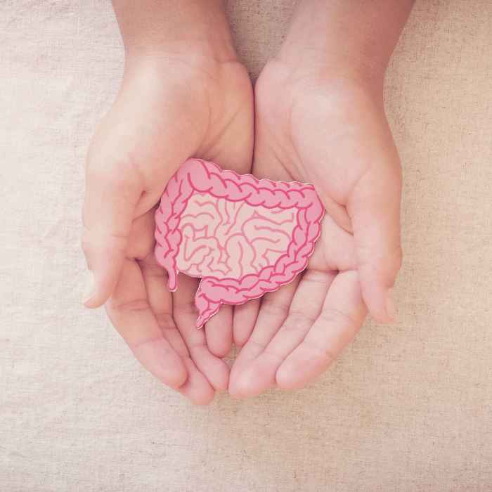 Bélmikrobiom 1.rész: kik élnek bennünk, és miért számít ez a mindennapokban?